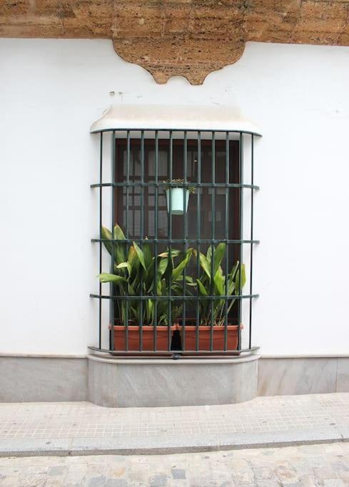 Fancy Apartment In A Historic House, Chiclana City Center By C. Dreams 치클라나 데 라 프론테라 외부 사진